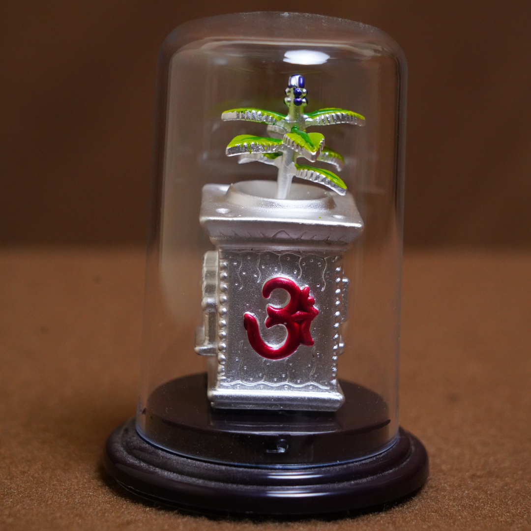 Tulsi Plant with Om Base in Protective Dome (3 Inch)
